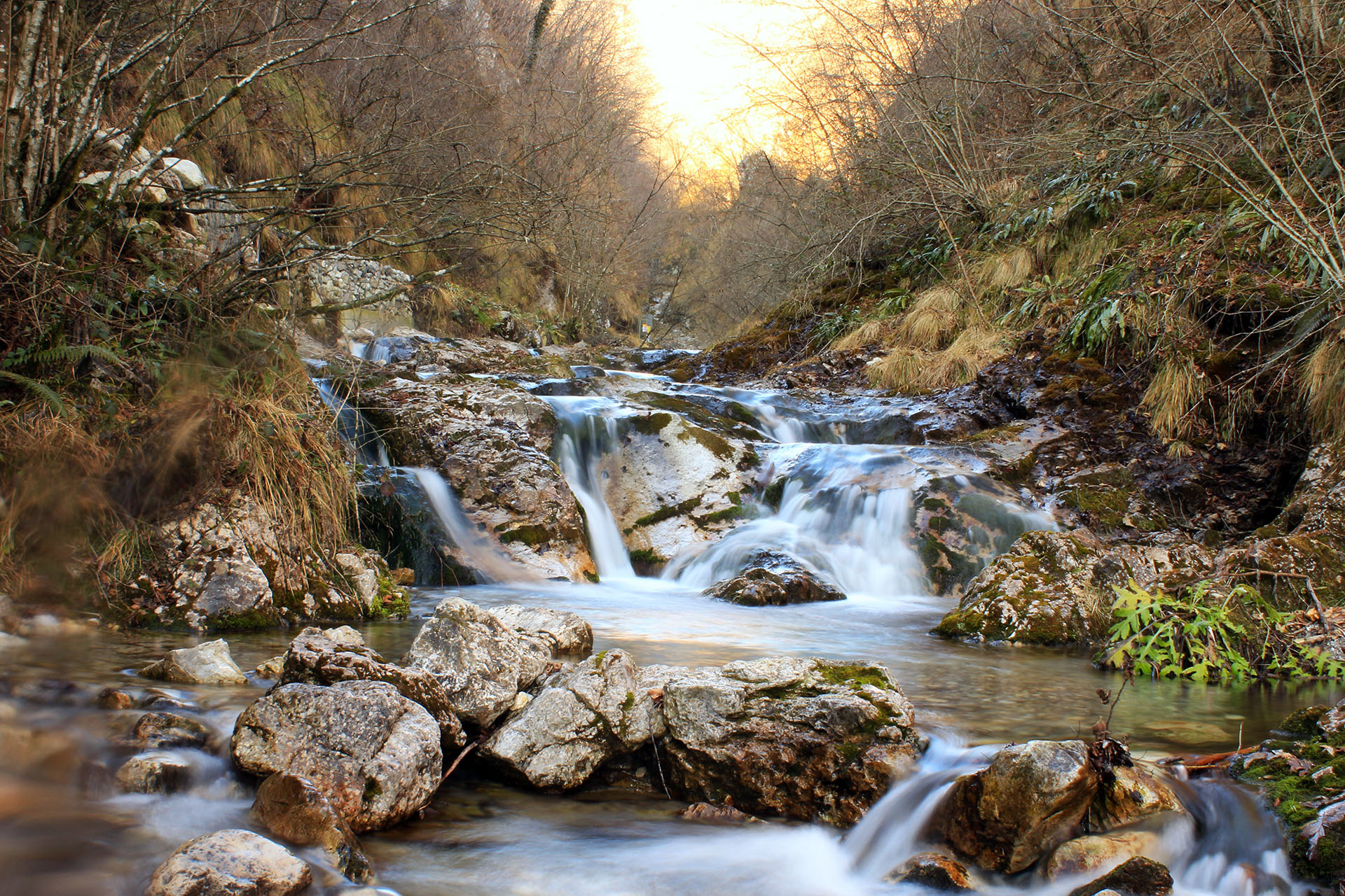 acqua