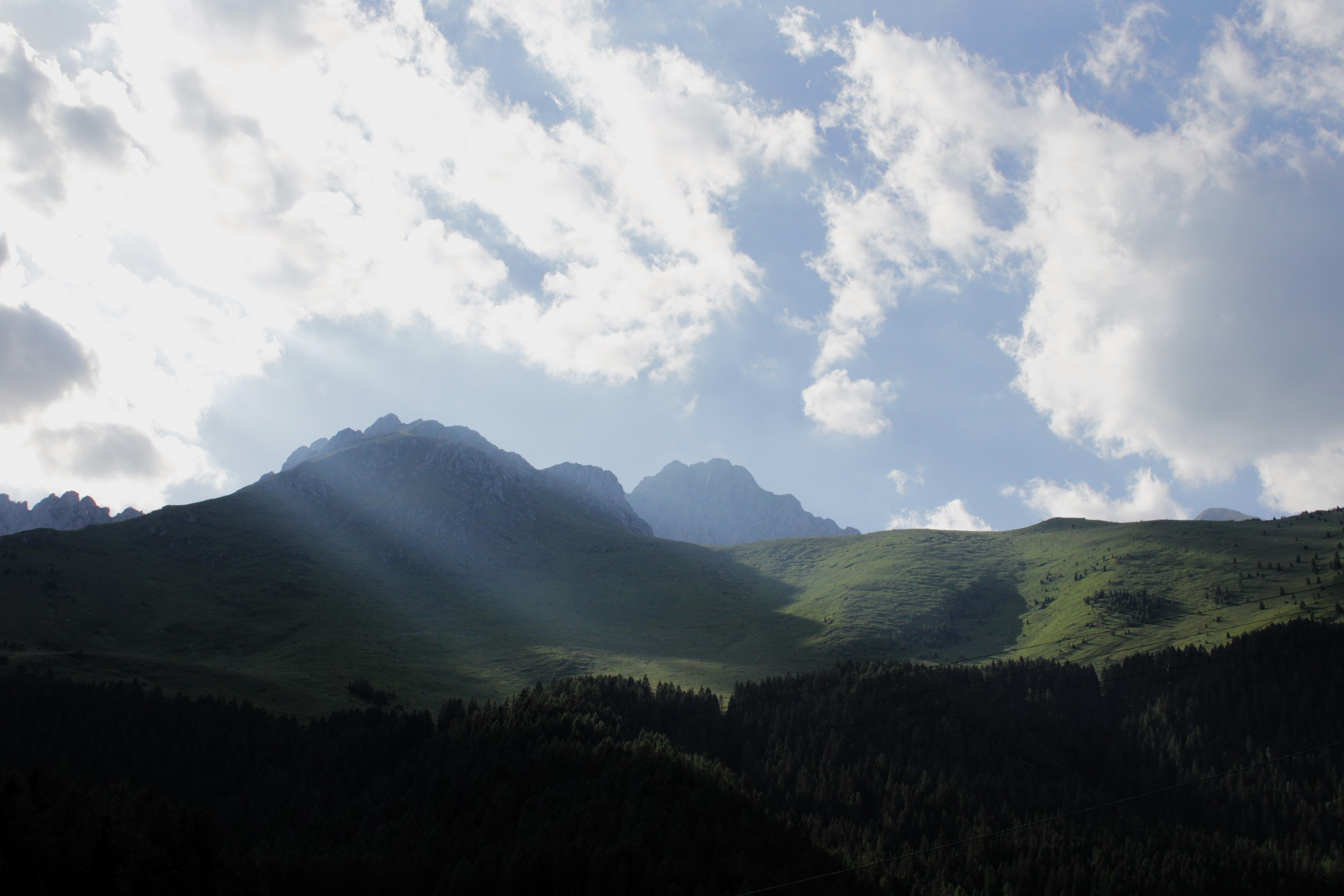 monte